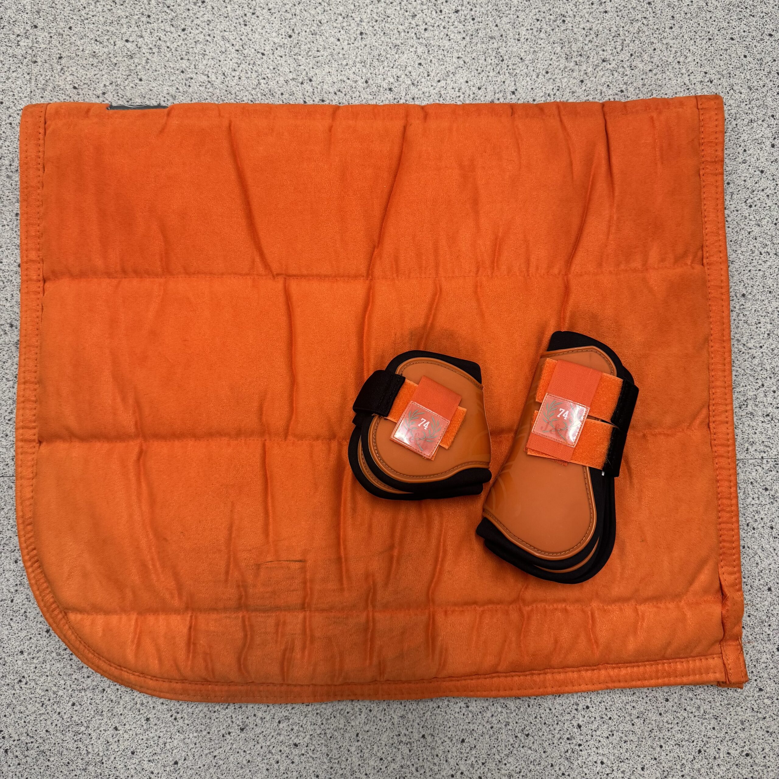Oranje Sjabrak + beenbescherming cob dressuur