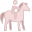 icons8-horseback-riding-80 1